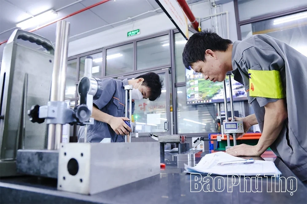Thang Long Vinh Phuc: Accelerating Production and Driving Growth