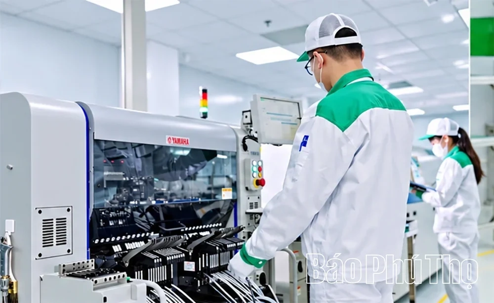 Thang Long Vinh Phuc: Accelerating Production and Driving Growth