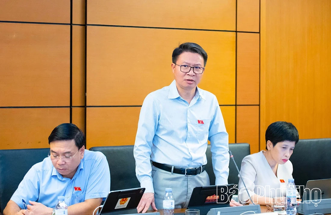 Đại biểu Quốc hội tỉnh thảo luận tình hình phát triển kinh tế - xã hội