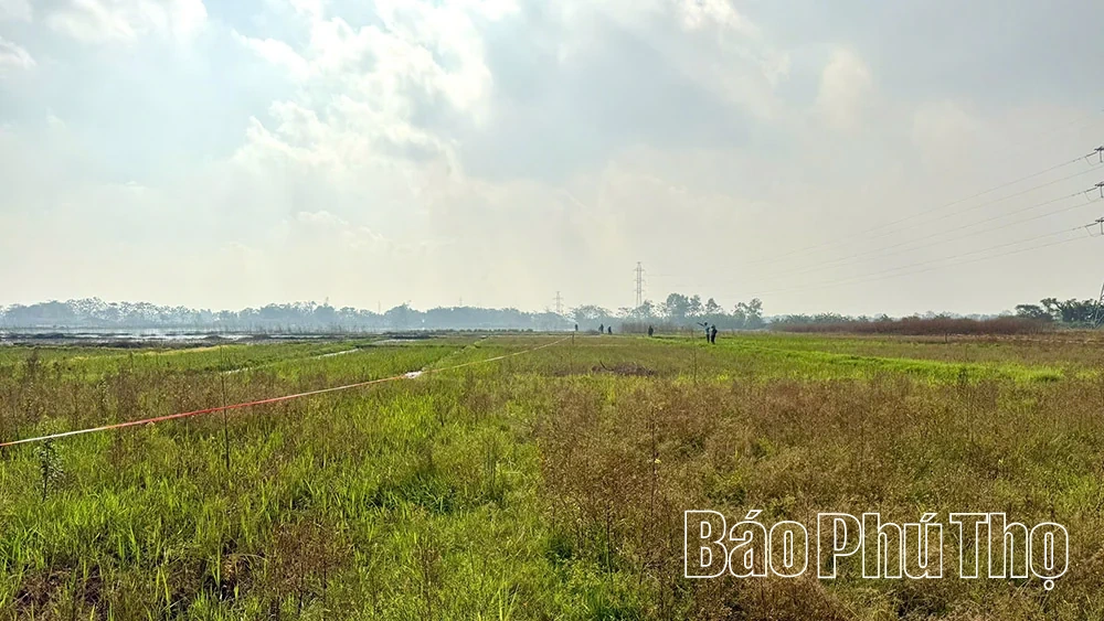 Tập trung giải phóng mặt bằng dự án đường sắt Lào Cai - Hà Nội - Hải Phòng