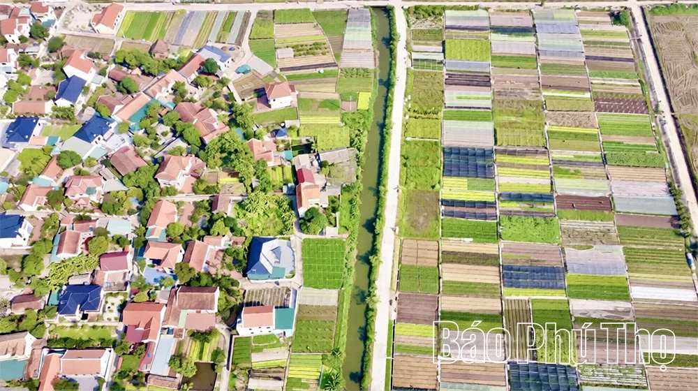 Nông dân Phú Thọ bắt nhịp chuyển đổi số
