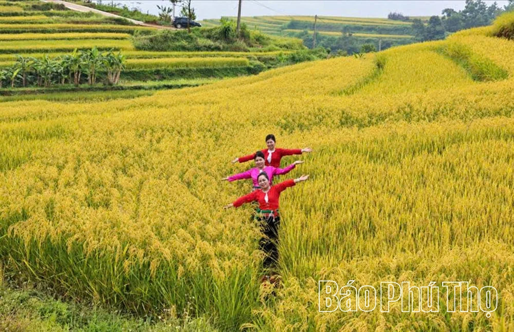 Thượng Cốc tích cực chuẩn bị cho Lễ hội ruộng bậc thang Miền Đồi năm 2026