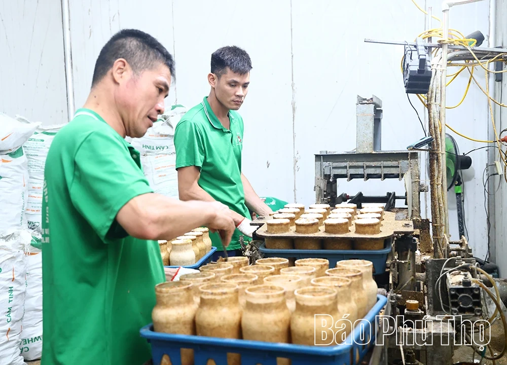 Nông nghiệp tuần hoàn mở hướng phát triển bền vững