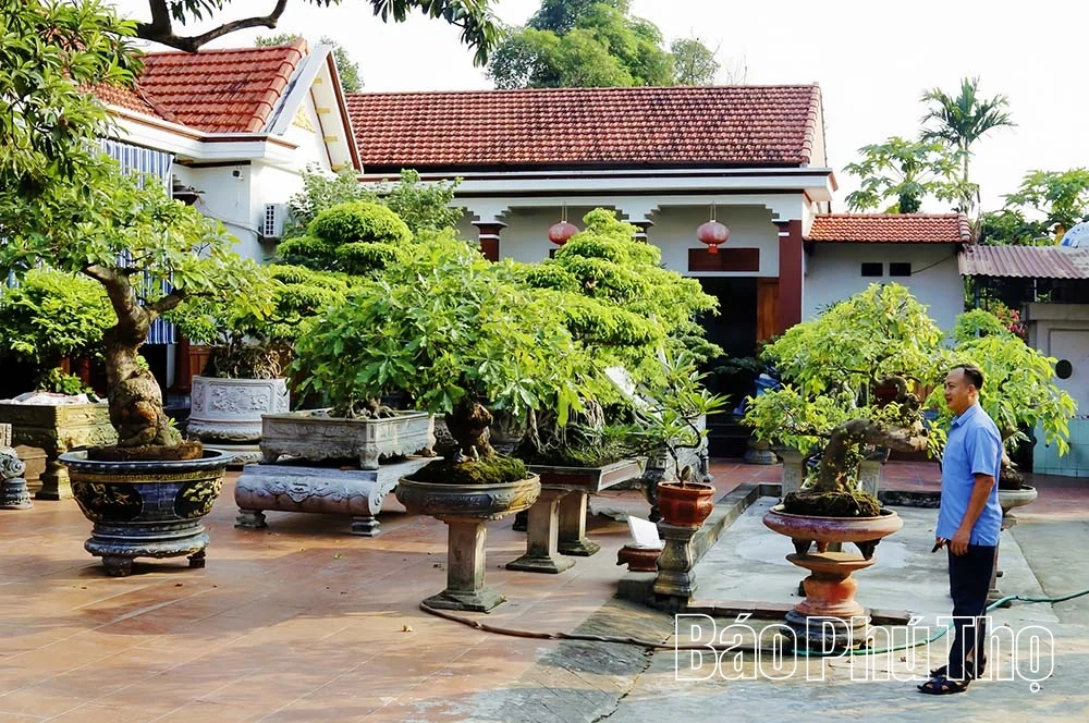 Thú chơi cây cảnh ở miền quê Sông Lô