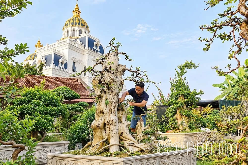 Thú chơi cây cảnh ở miền quê Sông Lô