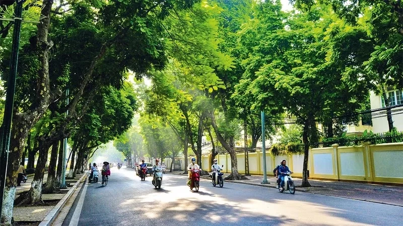 Thời tiết ngày 16/10: Bắc Bộ nắng ráo, Nam Bộ chiều tối có mưa dông