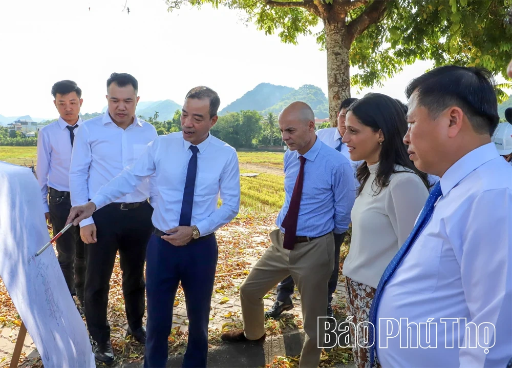 Thúc đẩy Dự án Phát triển đô thị thích ứng với biến đổi khí hậu tại khu vực Hòa Bình