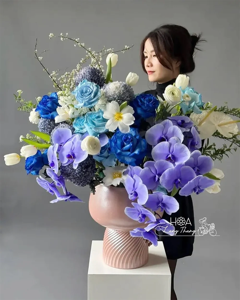 Chậu lan hồ điệp nhiều cành làm quà biếu: chọn số cành và dáng chậu sao cho khéo