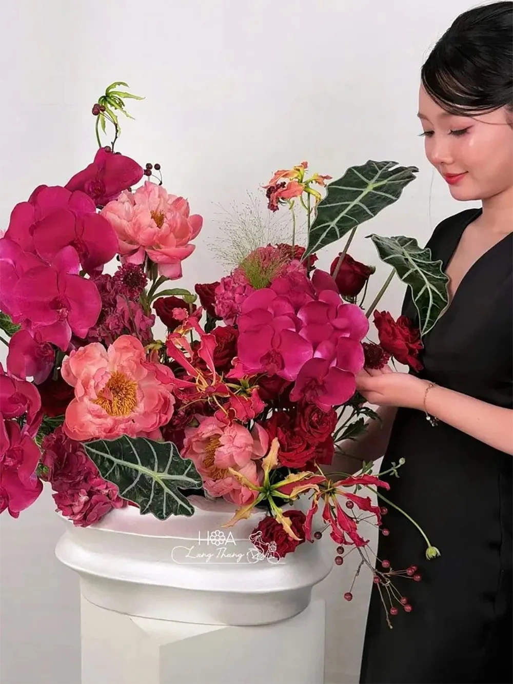 Chậu lan hồ điệp nhiều cành làm quà biếu: chọn số cành và dáng chậu sao cho khéo