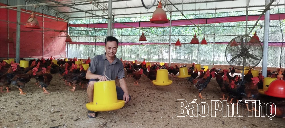Phòng, chống dịch bệnh cho đàn vật nuôi thời điểm giao mùa