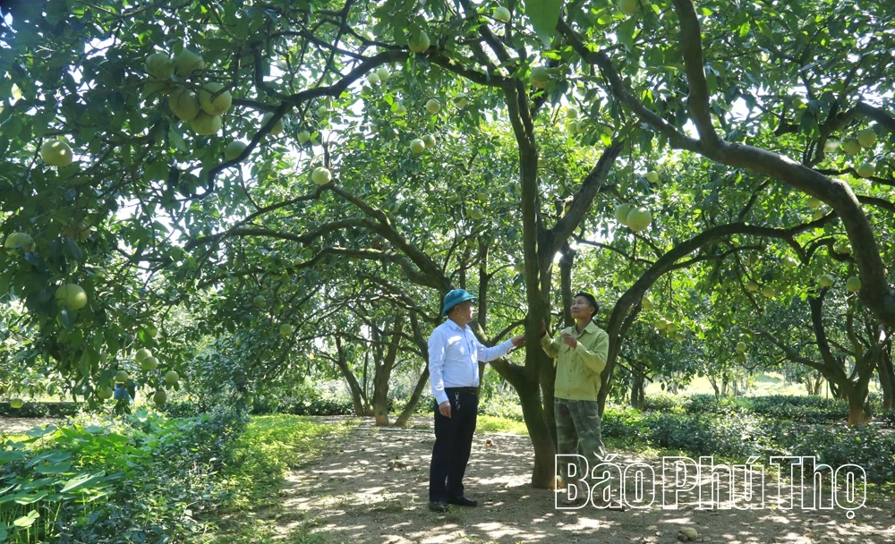 Trải nghiệm sản vật tiến Vua