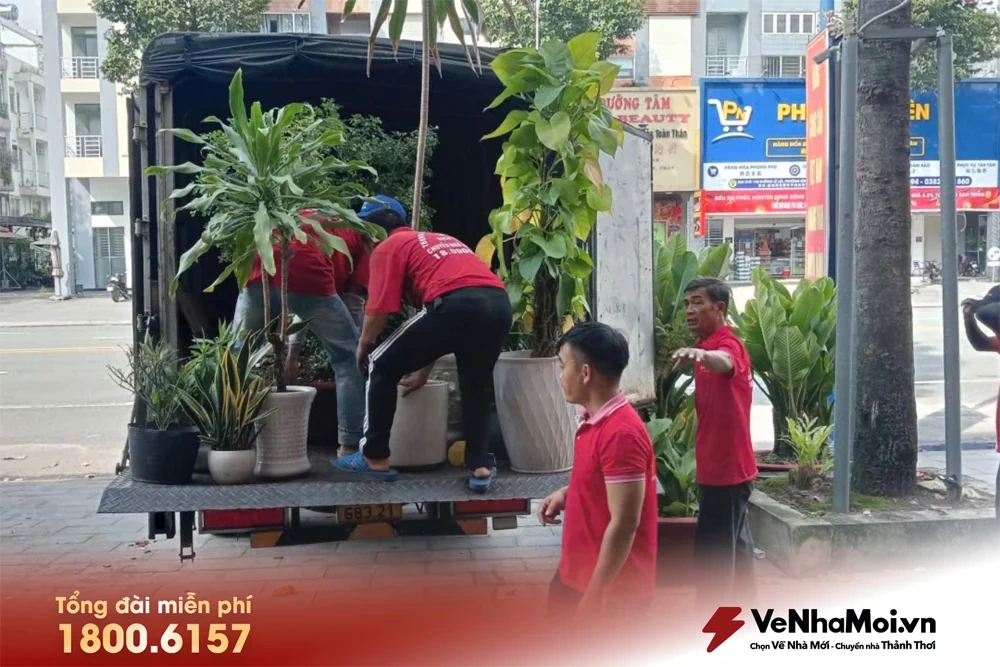 Cao điểm cuối năm: Đặt dịch vụ chuyển nhà sớm để có giá tốt và chọn lịch đẹp