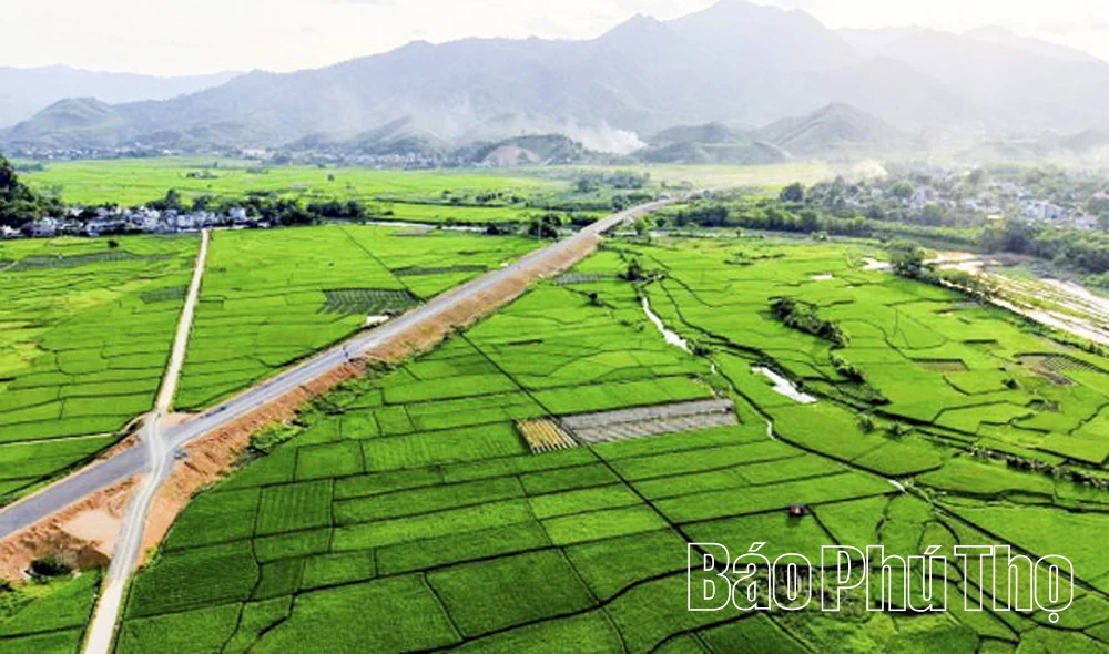 Hạ tầng giao thông mở rộng không gian phát triển sau hợp nhất