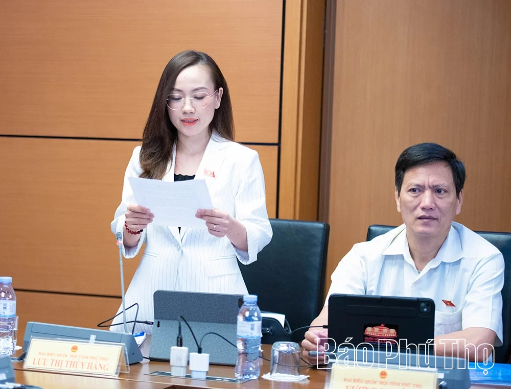 Kỳ họp thứ Hai, Quốc hội khóa XVI:&nbsp;Đại biểu Quốc hội tỉnh góp ý vào các dự án Luật