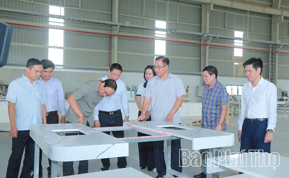 Tam Nông ứng dụng khoa học công nghệ vào sản xuất
