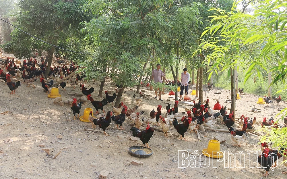 Tam Nông ứng dụng khoa học công nghệ vào sản xuất