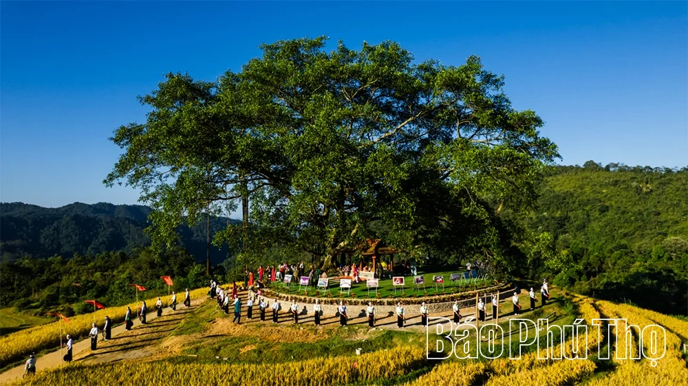 Bản Mừng Cao Phong - sắc màu du lịch vùng cao