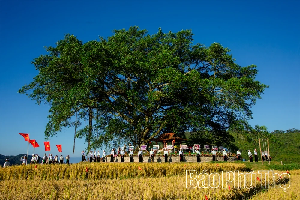 Bản Mừng Cao Phong - sắc màu du lịch vùng cao