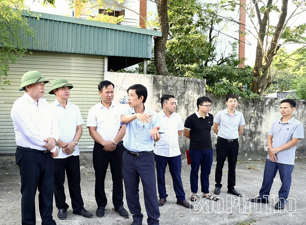 Đôn đốc tiến độ các dự án thủy lợi, đê điều, phòng, chống thiên tai khu vực Vĩnh Phúc