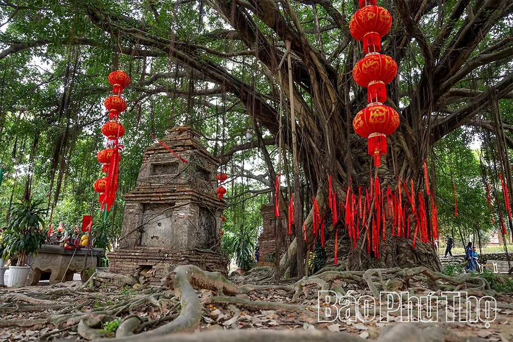 Sắc màu cổ tự nơi chùa Hà