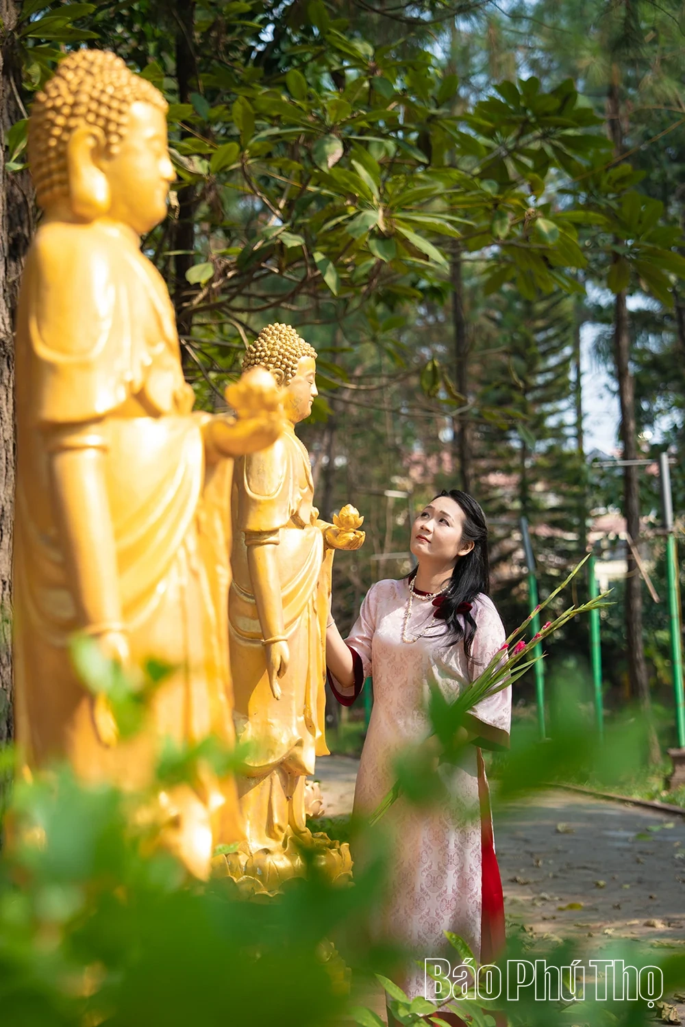 Sắc màu cổ tự nơi chùa Hà