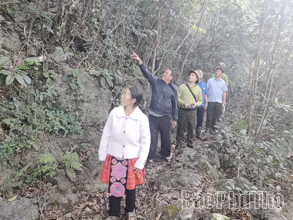 Giữ màu xanh đại ngàn Hang Kia - Pà Cò