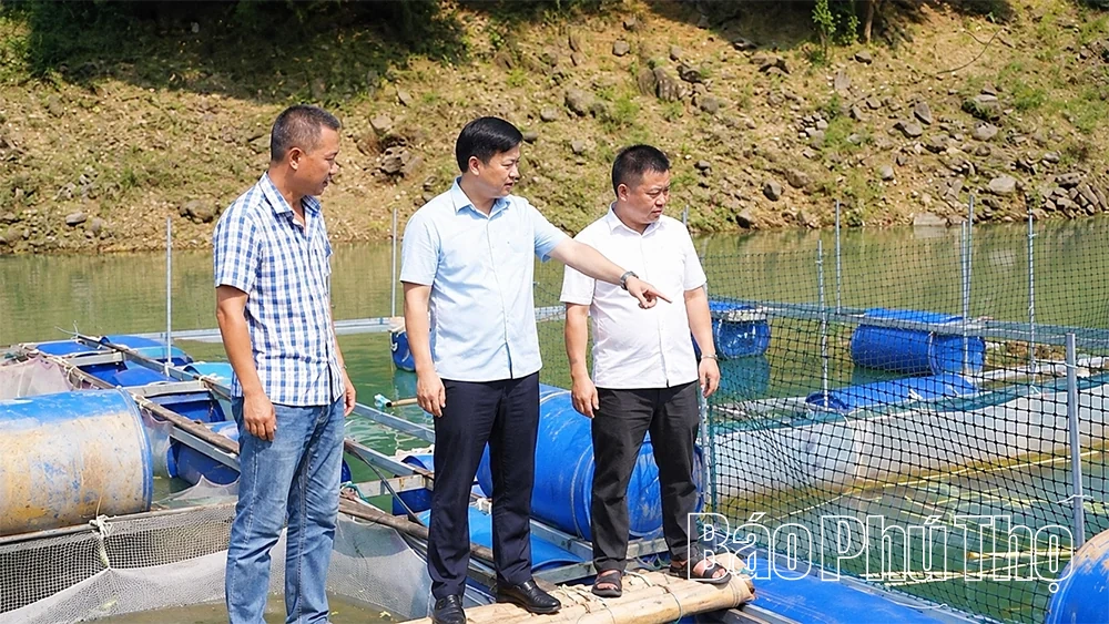 Đức Nhàn khơi thông nguồn lực, tạo đà phát triển