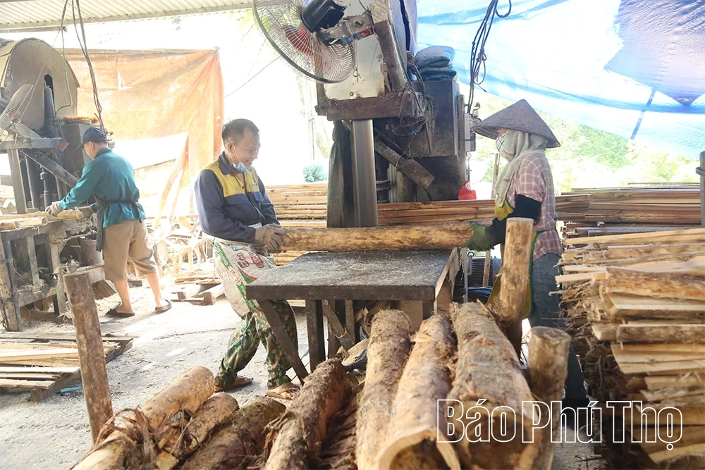 Nghề chế biến gỗ ở Tây Cốc