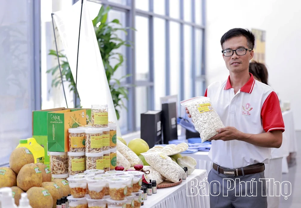 “Thủy lôi” năm xưa, quả ngọt hôm nay