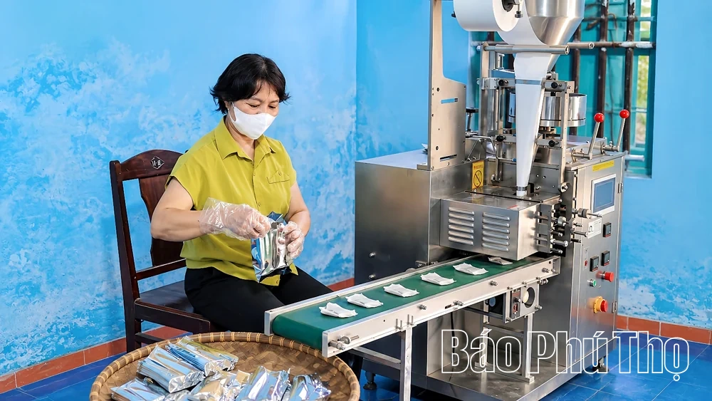 Từ “Lộc trời” đến sản phẩm OCOP