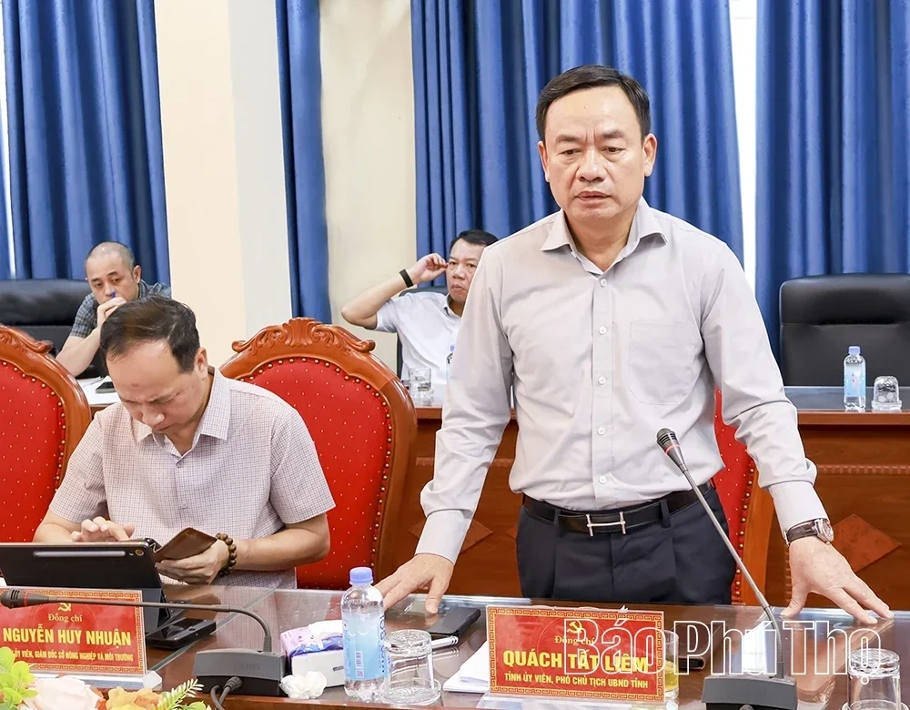 Focusing on Removing Obstacles, Accelerating Progress of Key Transport Projects