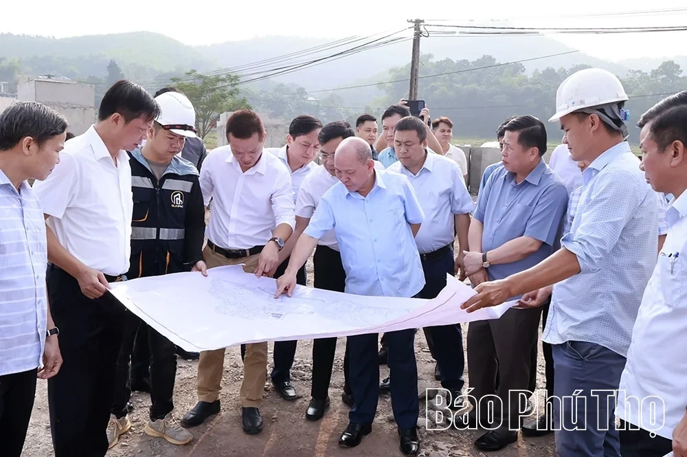 Focusing on Accelerating Progress for Projects Invested by Sun Group