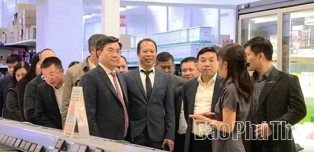 Phu Tho Province Steps Up Cooperation with Czech Republic Partners