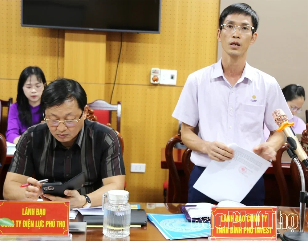Removing Bottlenecks, Accelerating Progress of Binh Phu and Thinh Minh Industrial Parks