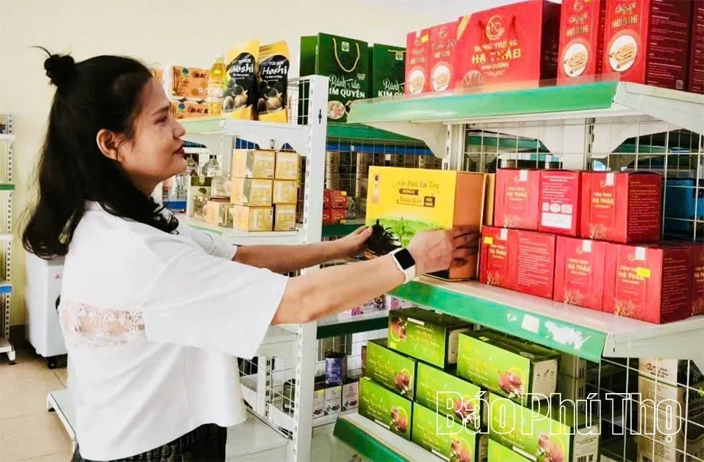 Elevating Tea Plants Linked with Tourism Development