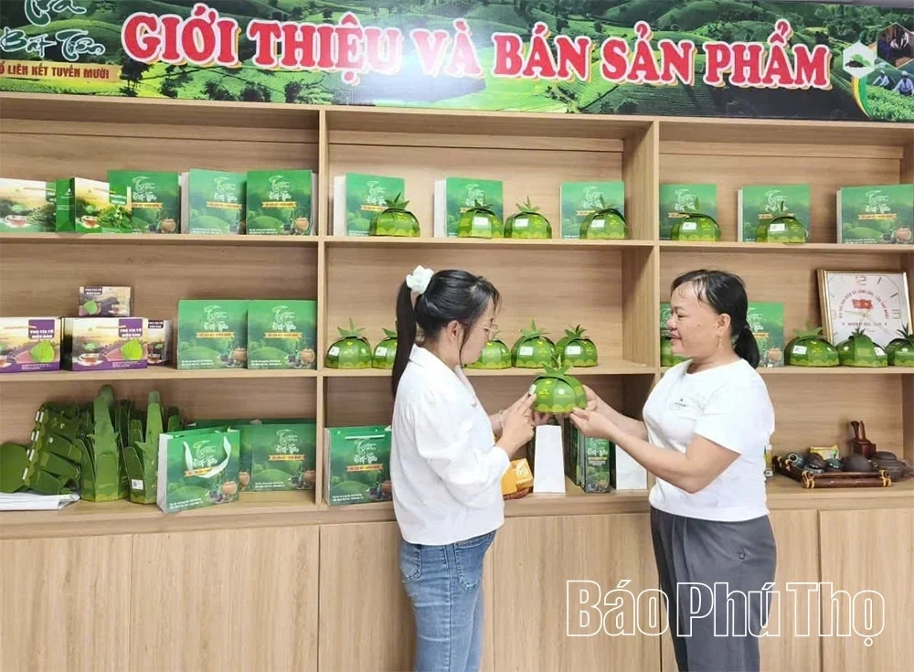 Elevating Tea Plants Linked with Tourism Development