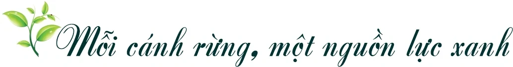 Rừng xanh, sinh kế bền vững