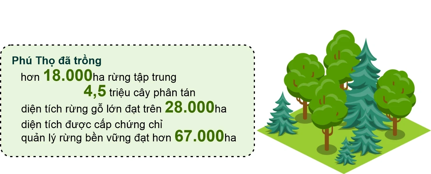 Rừng xanh, sinh kế bền vững