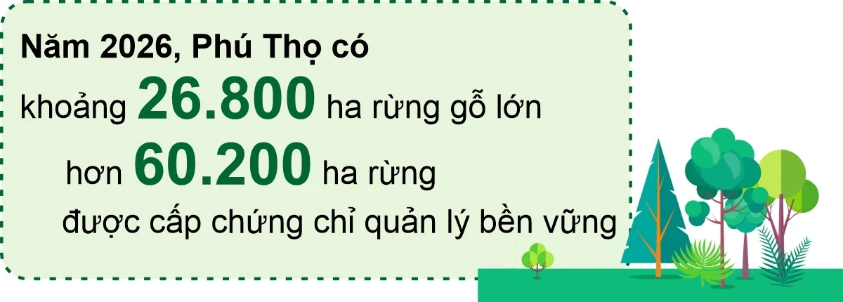 Rừng xanh, sinh kế bền vững