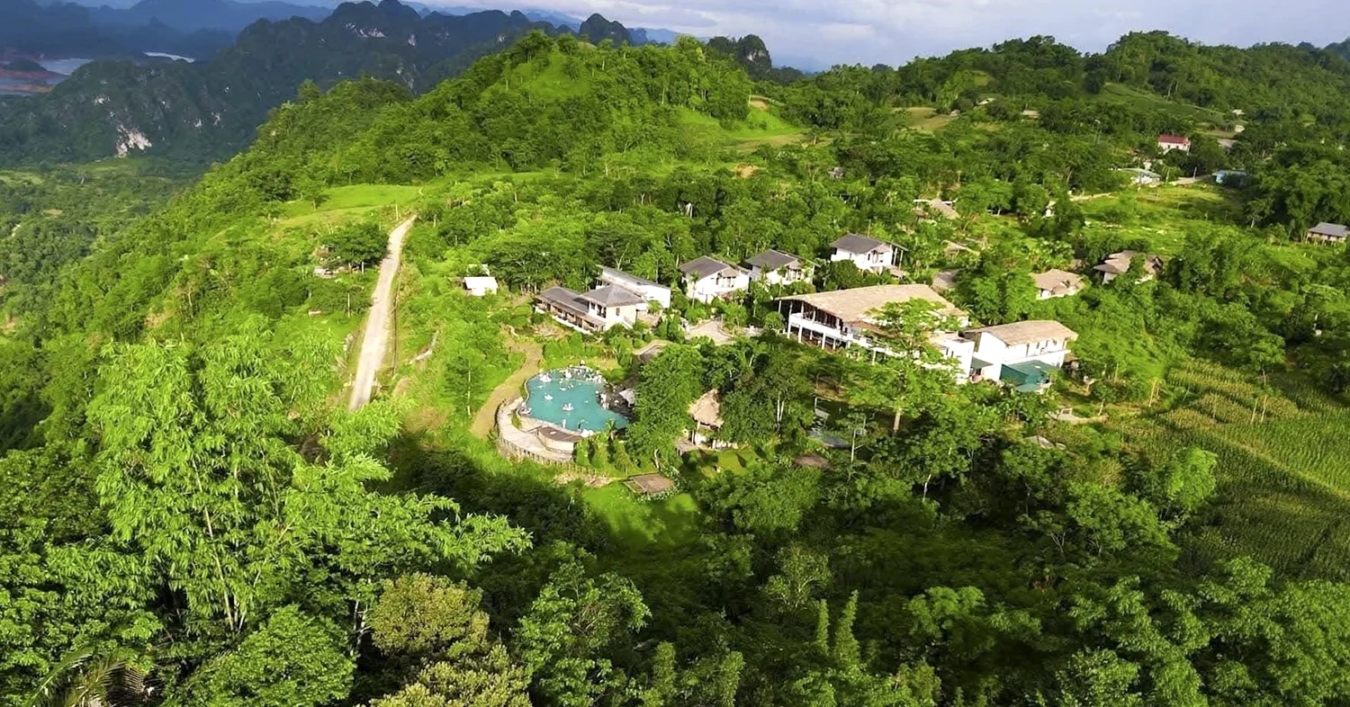 Rừng xanh, sinh kế bền vững