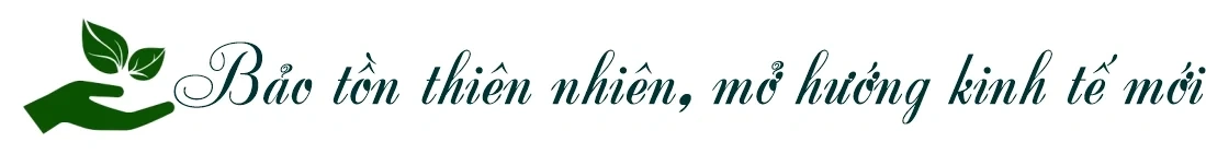 Rừng xanh, sinh kế bền vững