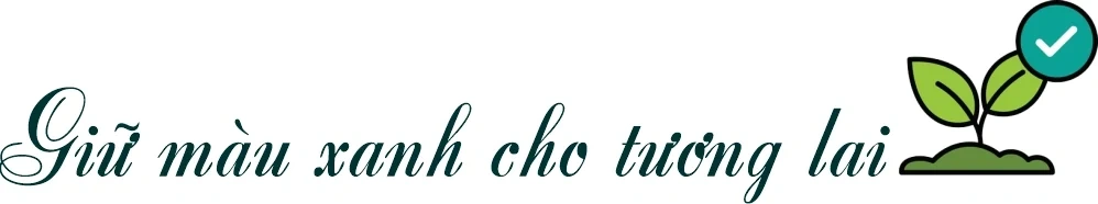 Rừng xanh, sinh kế bền vững