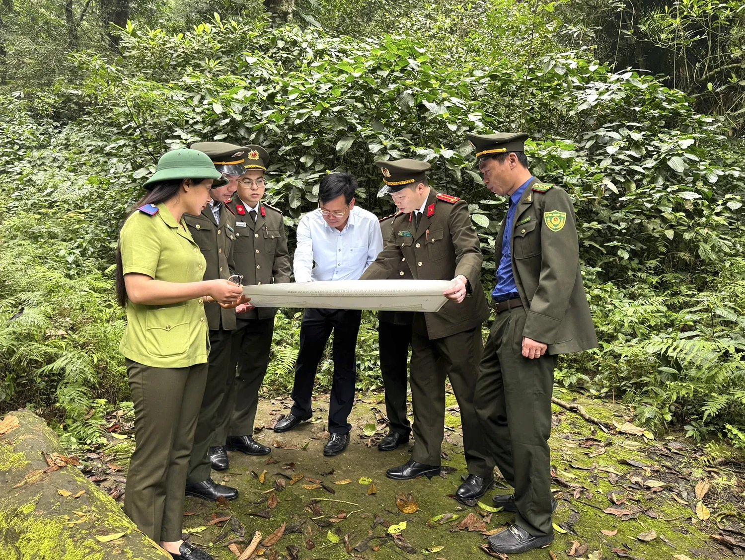 Rừng xanh, sinh kế bền vững