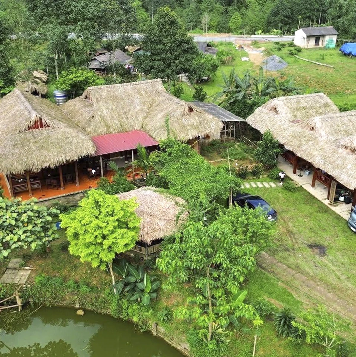 Rừng xanh, sinh kế bền vững