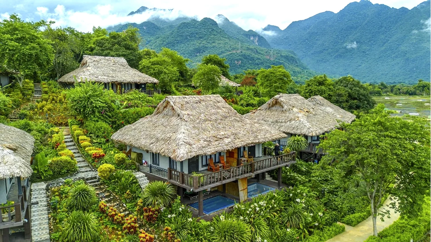 Rừng xanh, sinh kế bền vững