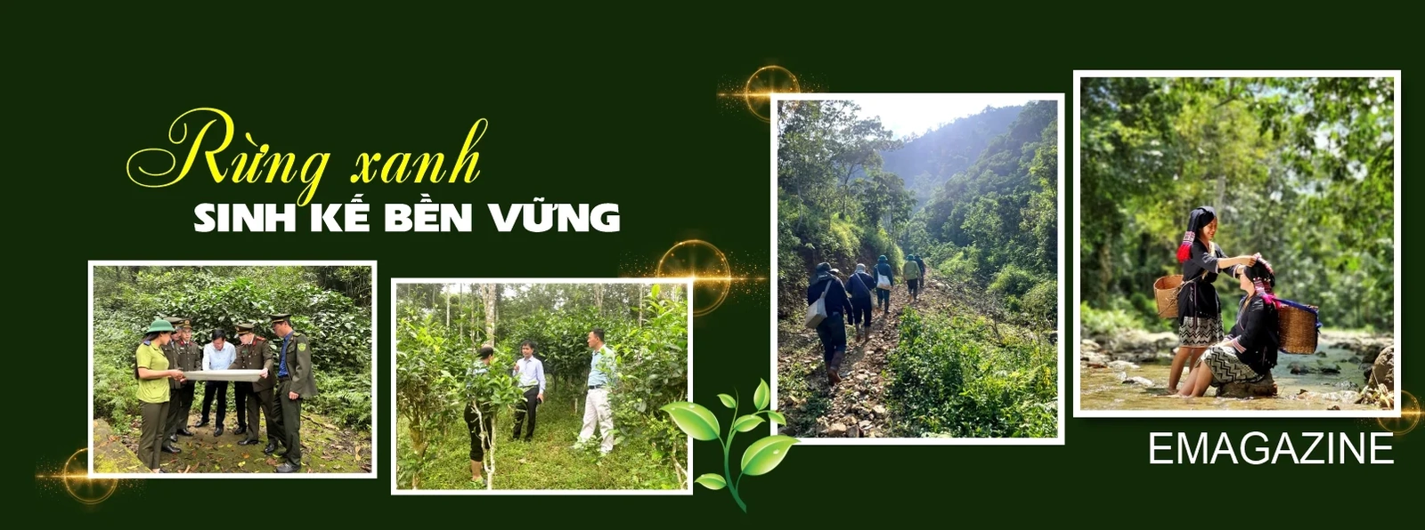 Rừng xanh, sinh kế bền vững