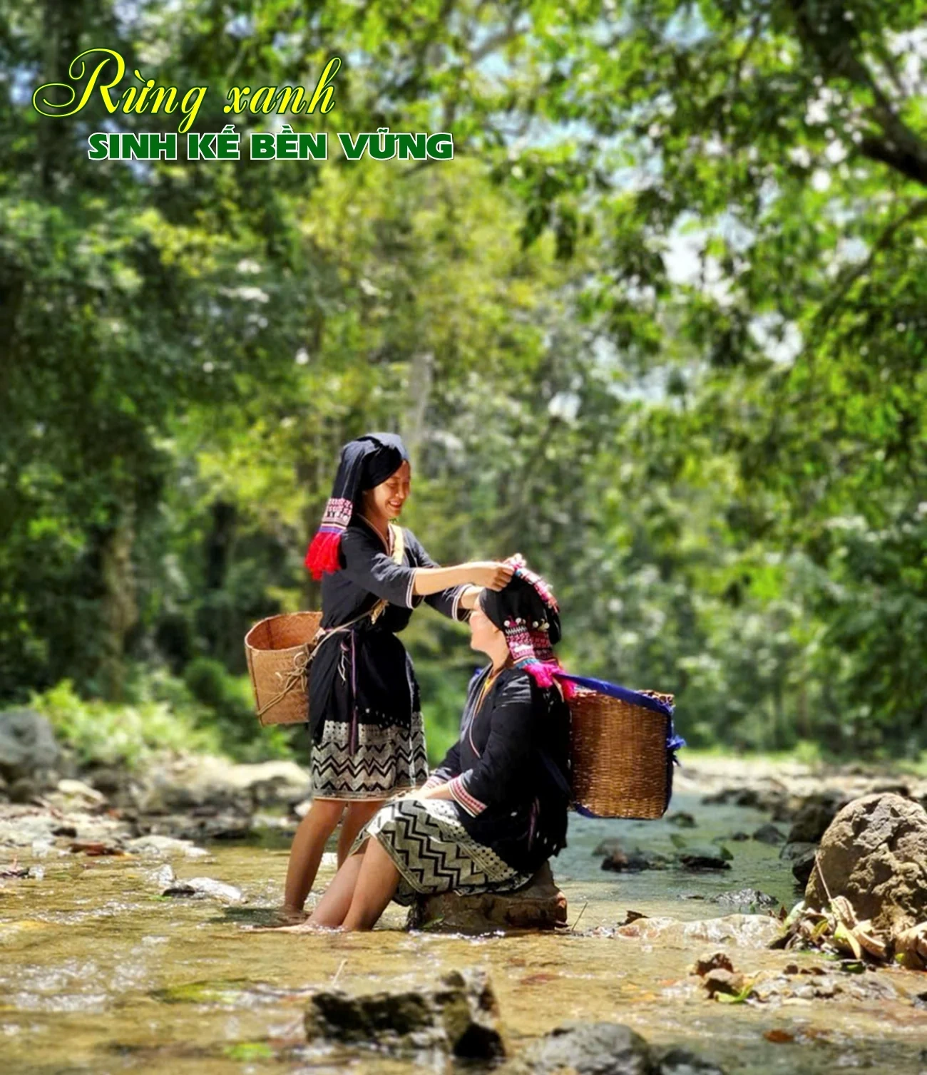 Rừng xanh, sinh kế bền vững