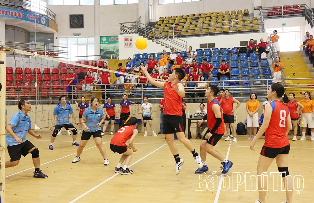 Ngày hội thể thao TYM năm 2026: Đoàn kết – Bứt phá