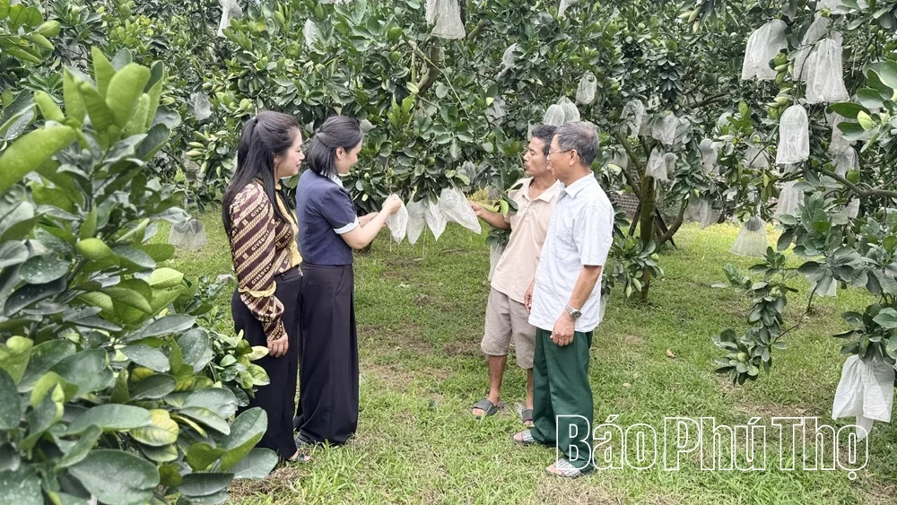 “Giấy thông hành” đưa nông sản vươn xa