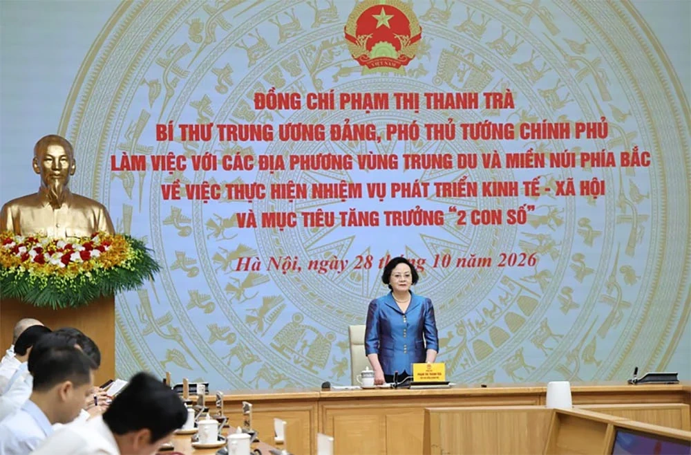 Khẩn trương hoàn thiện vị trí việc làm